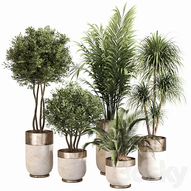Indoor Plant Set 053