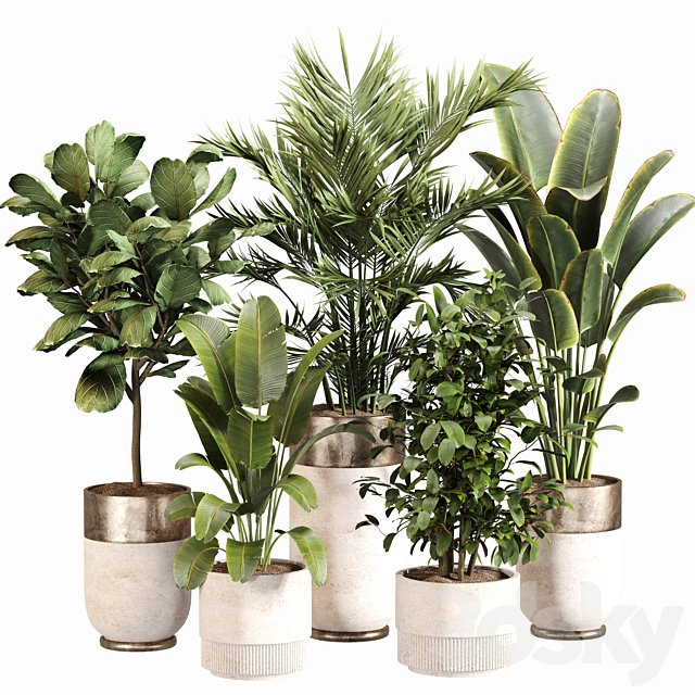 Indoor Plant Set 052