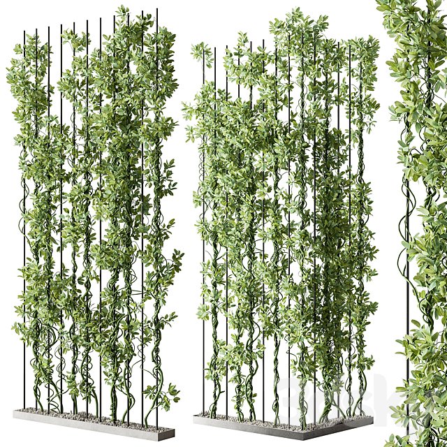 Vertical Garden Partiton - Set 111