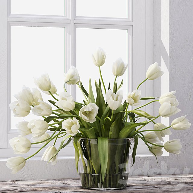 Tulips