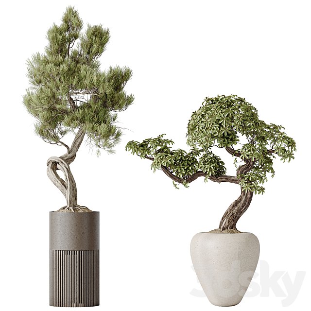 Indoor plant set 23
