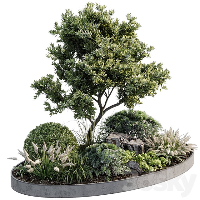 Outdoor Plant 05