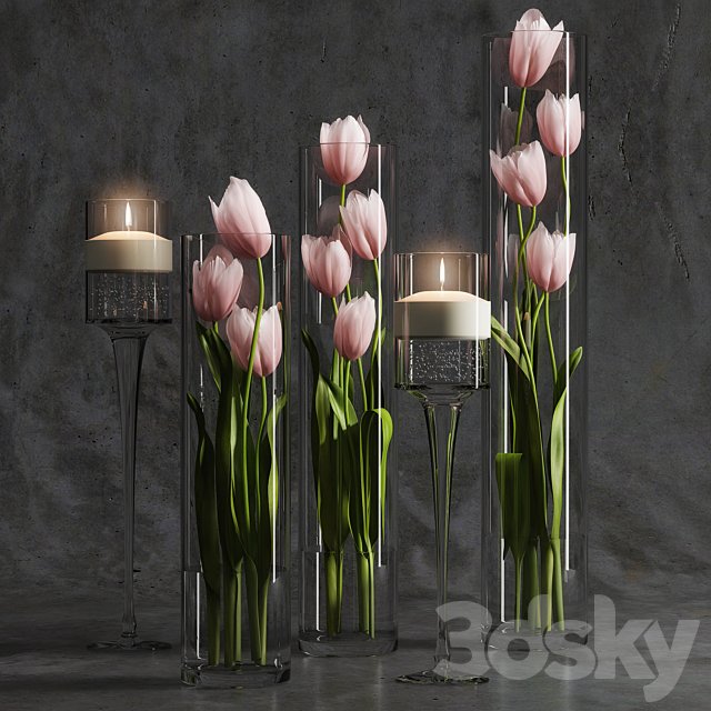 Tulips 2