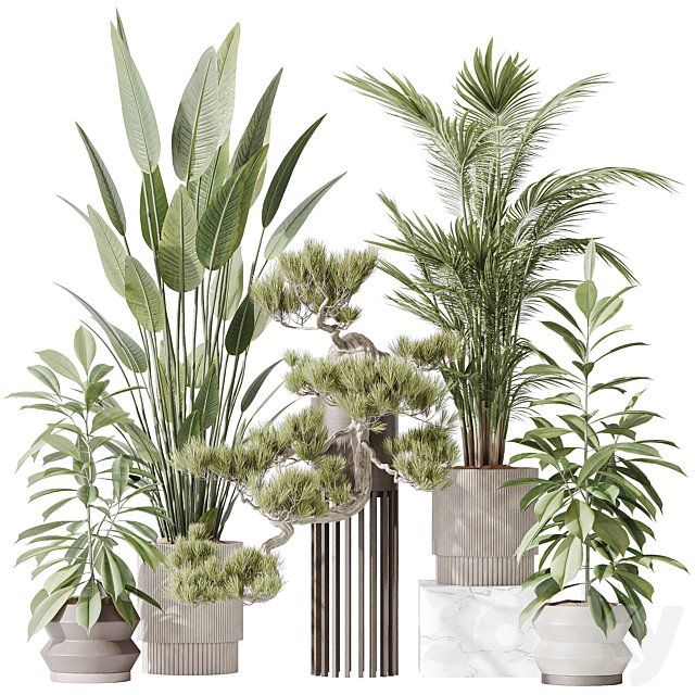 Indoor plant set 31