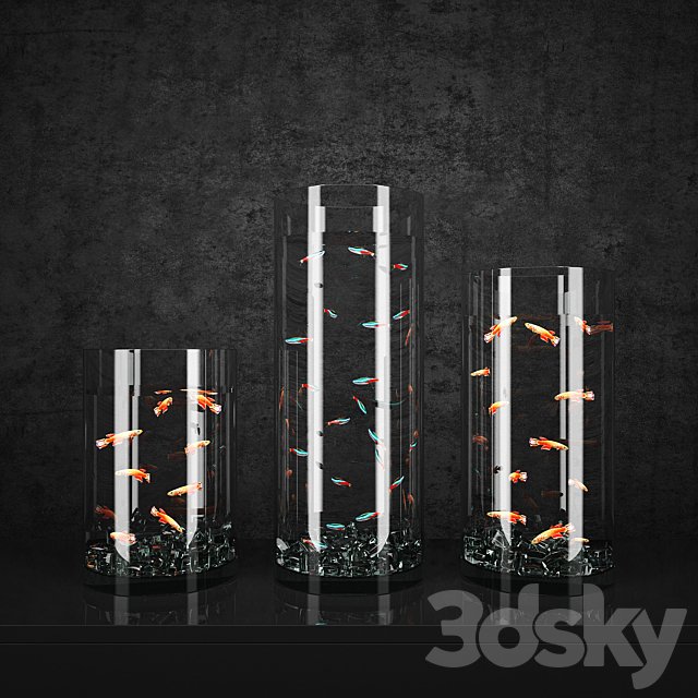 Aquarium
