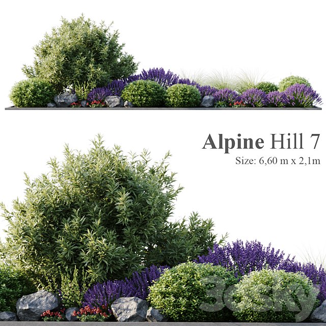 Alpine Hill 7