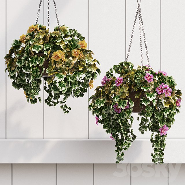 Ornamental Flowerpot