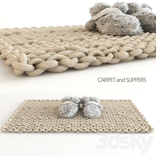 carpet and slippers