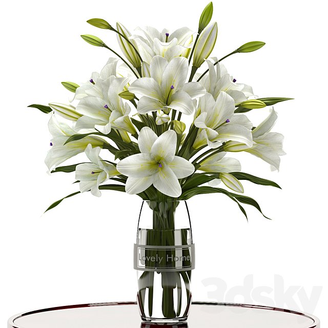 LILY
