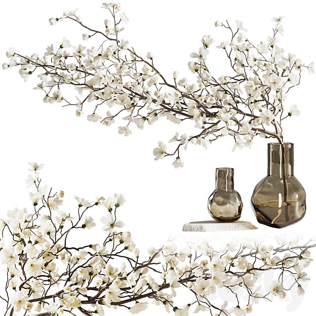 Blooming branch in a vase