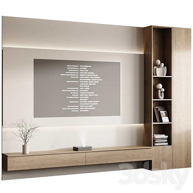 TV Set and Projector 2