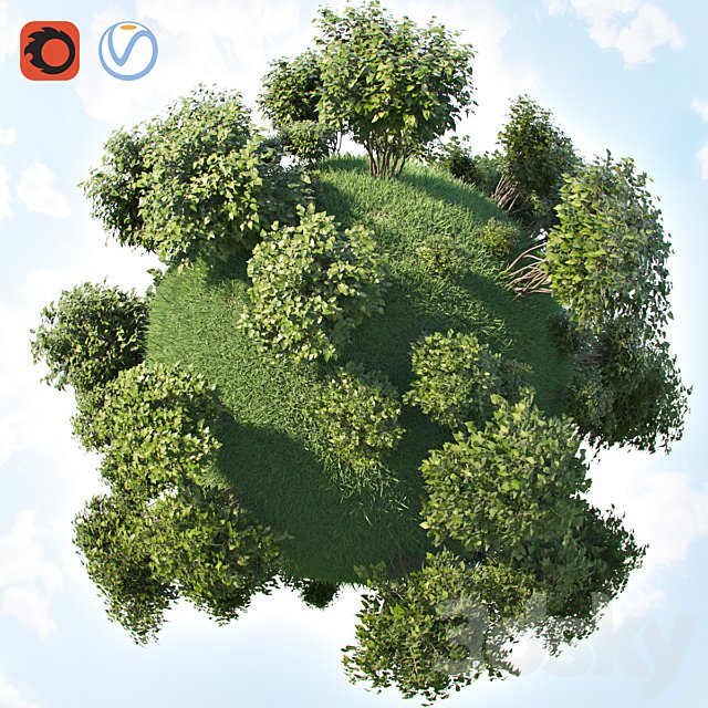 Set of bushes