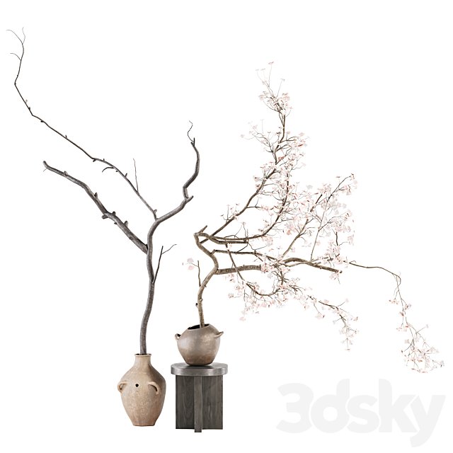 Indoor Plant 03