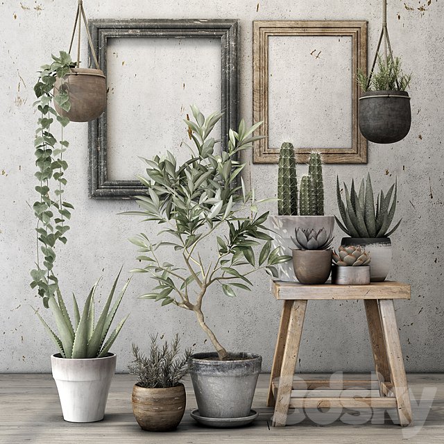 Decorative plant set