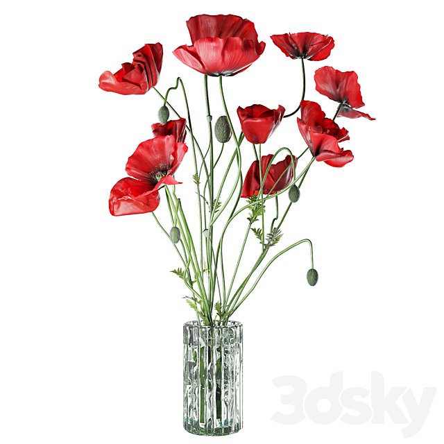 Field Poppies in a Vase