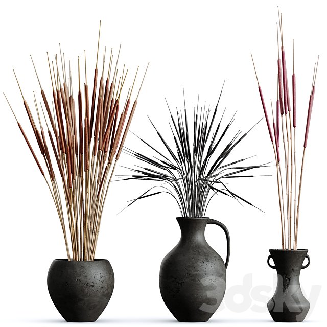 HQ HousePlants Decorative Stoilan Pampas Dried Branches Pampy