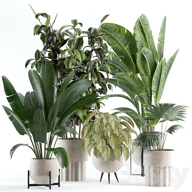 indoor plant 308