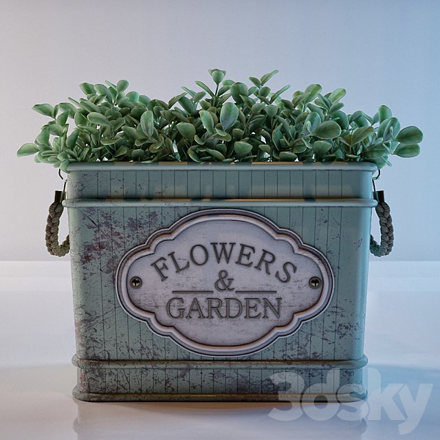 pots in the style of Provence