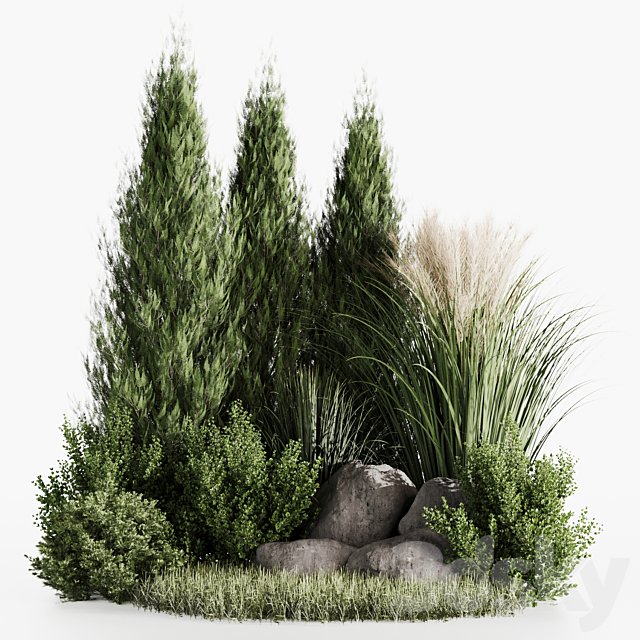 Bush set04