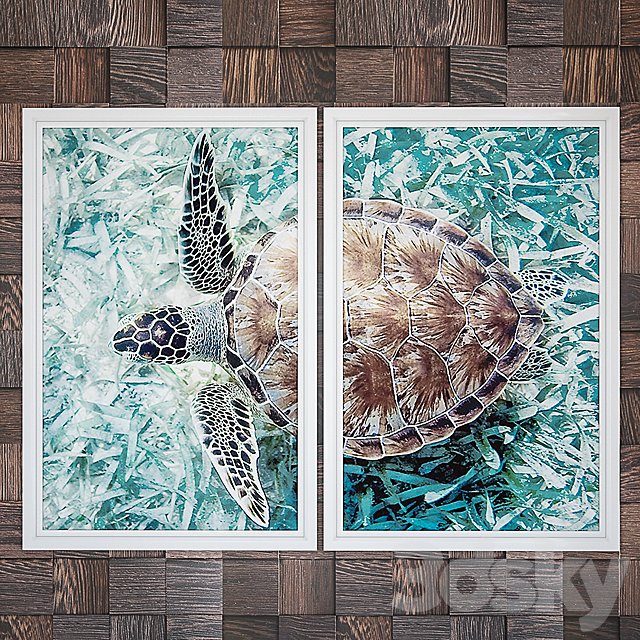 Modular picture Green Sea Turtle Diptych