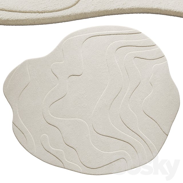 Irregular Shaped Rug 2