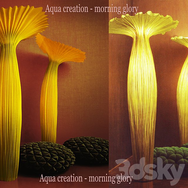 Aqua creation - Morning Glory, Anana Poof