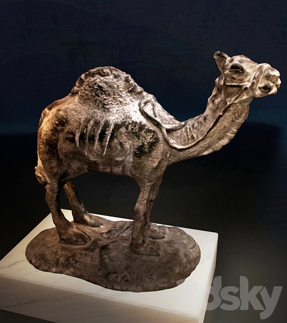 Camel