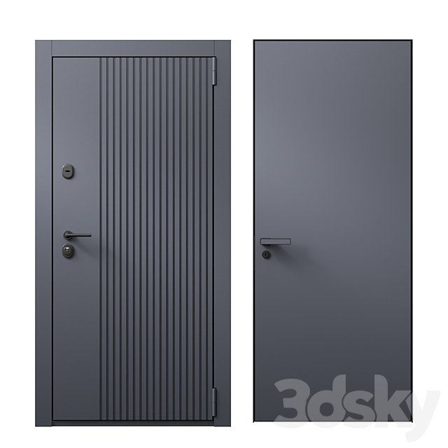 Entrance door and concealed door