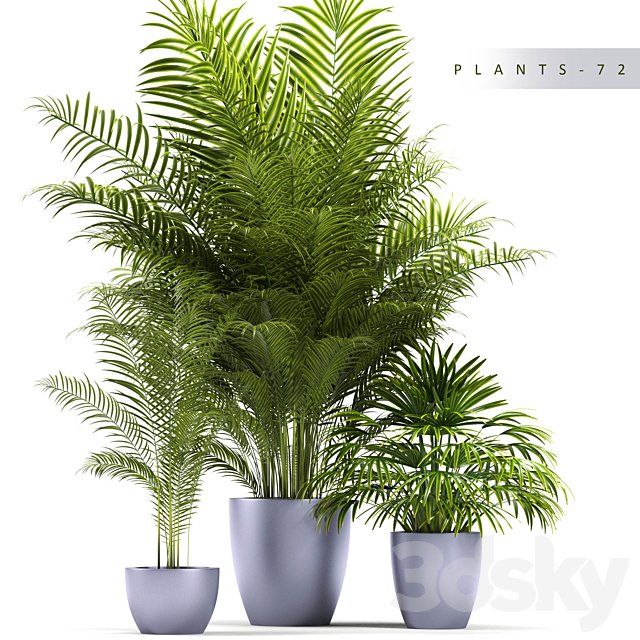 PLANTS 72