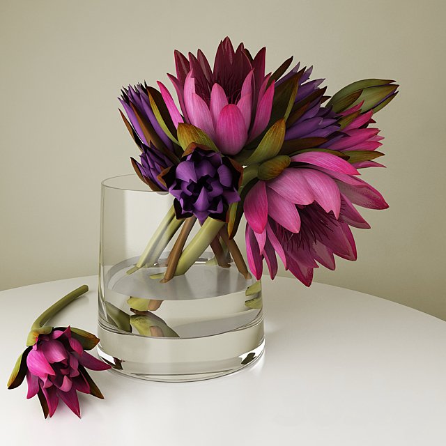 lotuses