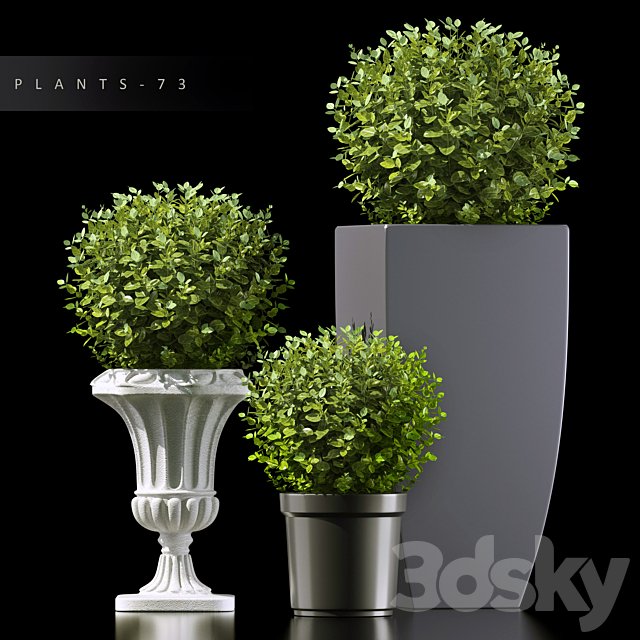 PLANTS 73