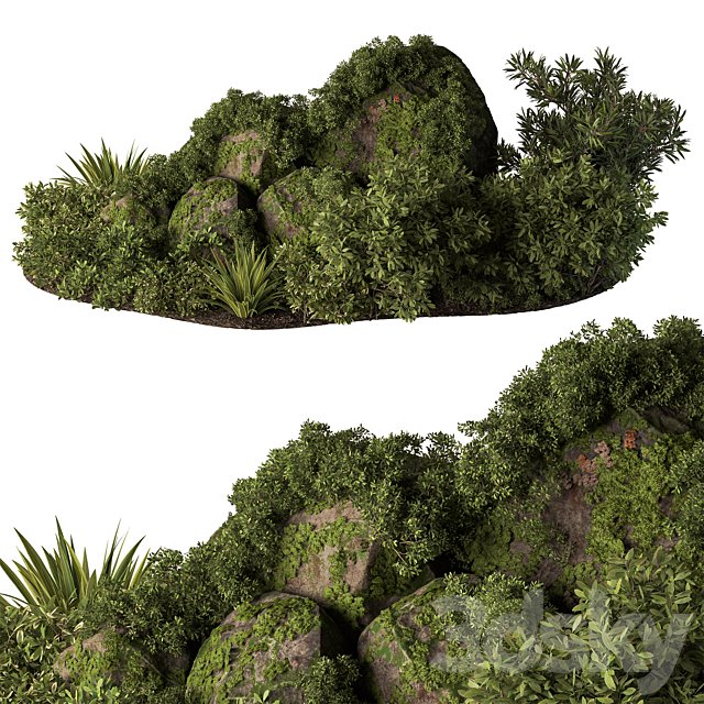 Garden Plants - Outdoor Plants 648