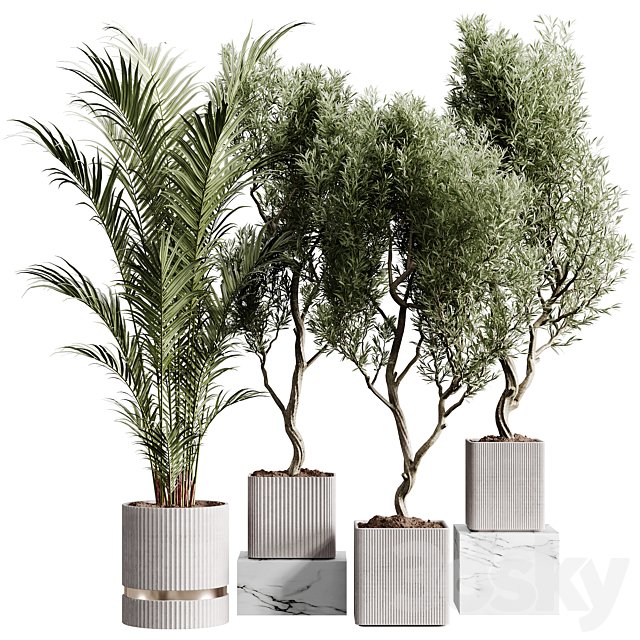 Indoor plants collection set 01