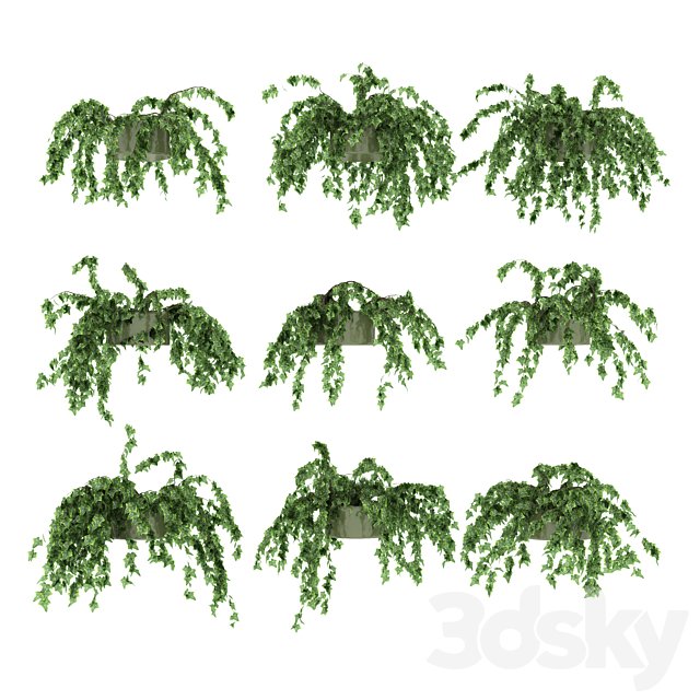 Ivy in pot v3. 9 models