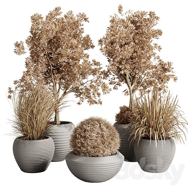 Dry Grass and Trees in a Concrete Pot - Indoor plant autumn set 570