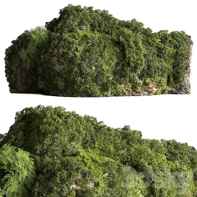 Moss on Stones 08