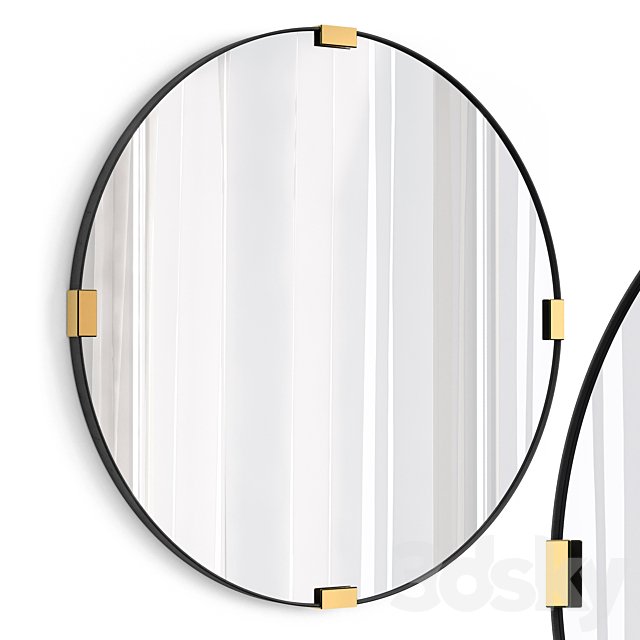 Mirror 491