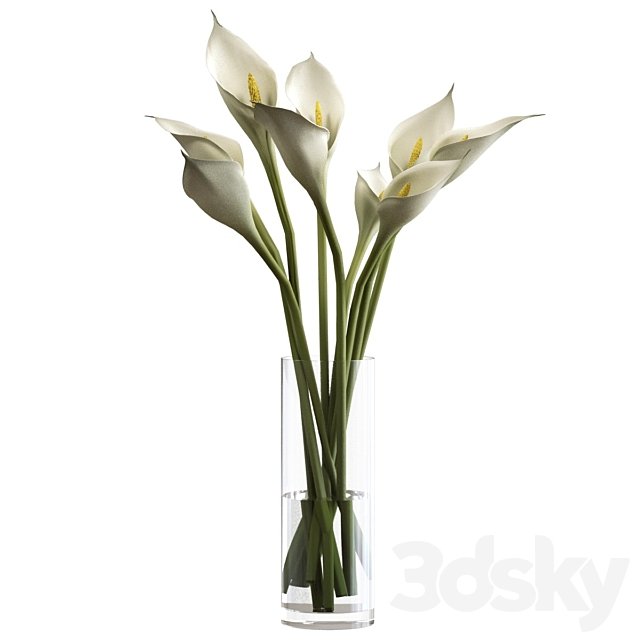 Bouquet of calla lilies in a vase