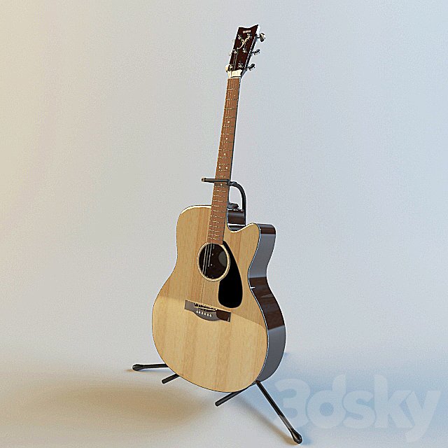 Acoustic Guitar