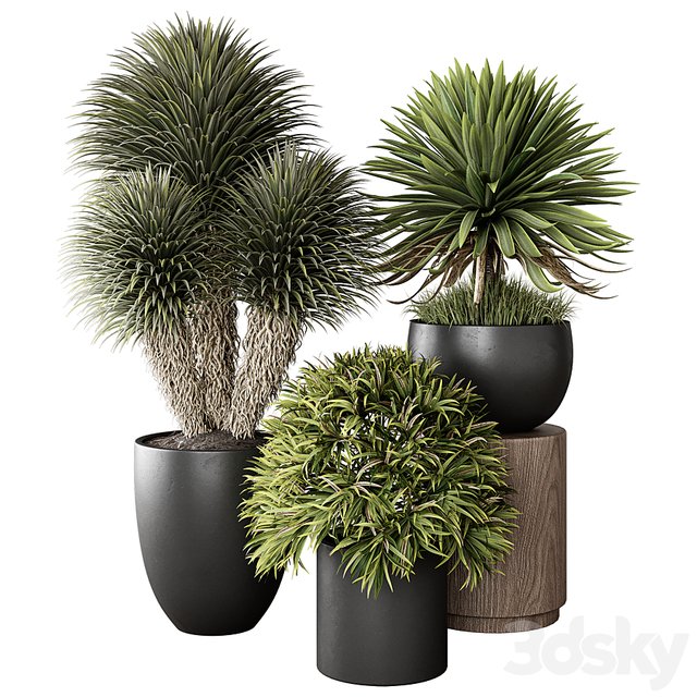 3D Model 7248380.6759a59261741
