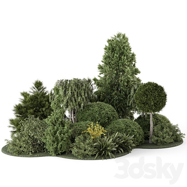 Outdoor Plants Bush Collection 2731