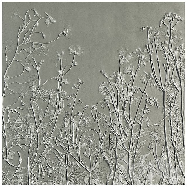 Botanical bas-relief gypsum wall decorative panel juniper dried flowers plants flora chamomile hogweed