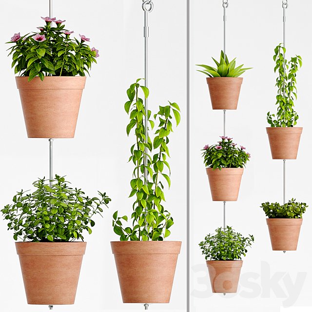 PLANT SET -60