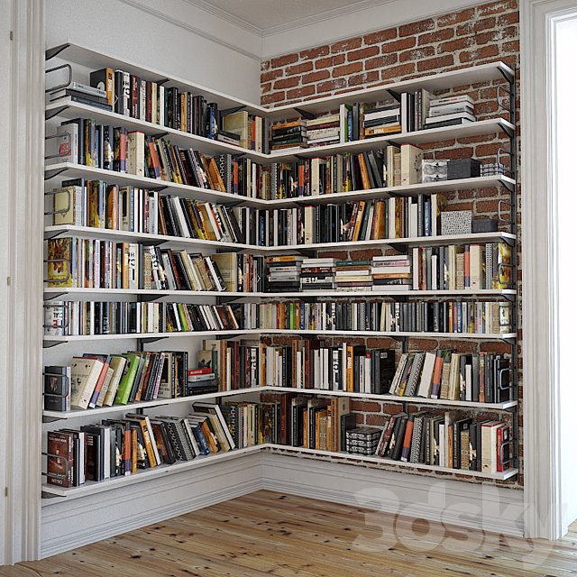 Bookshelves with decor
