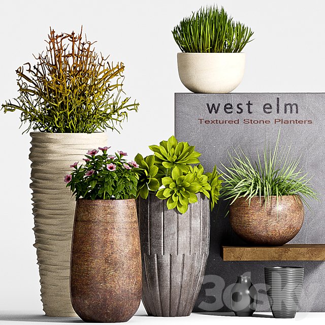 PLANT SET -63