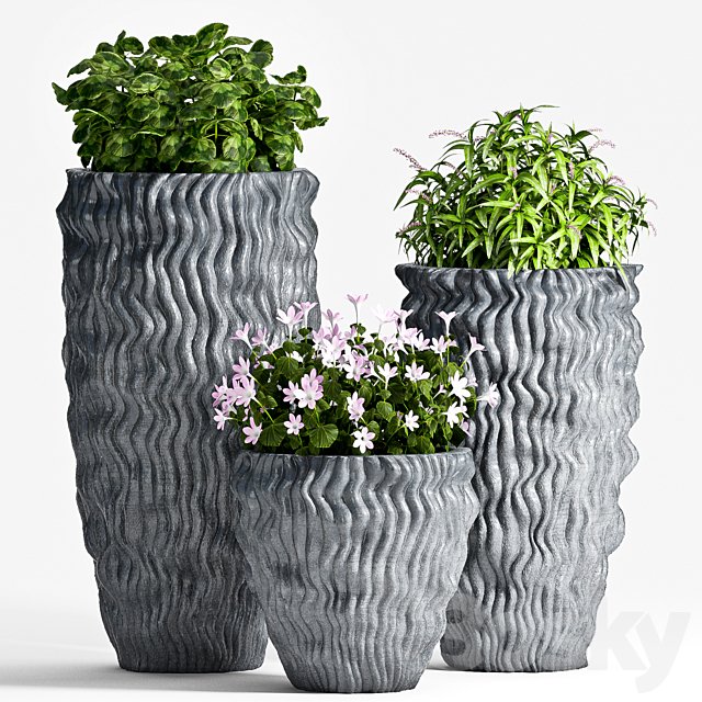 PLANT SET -64