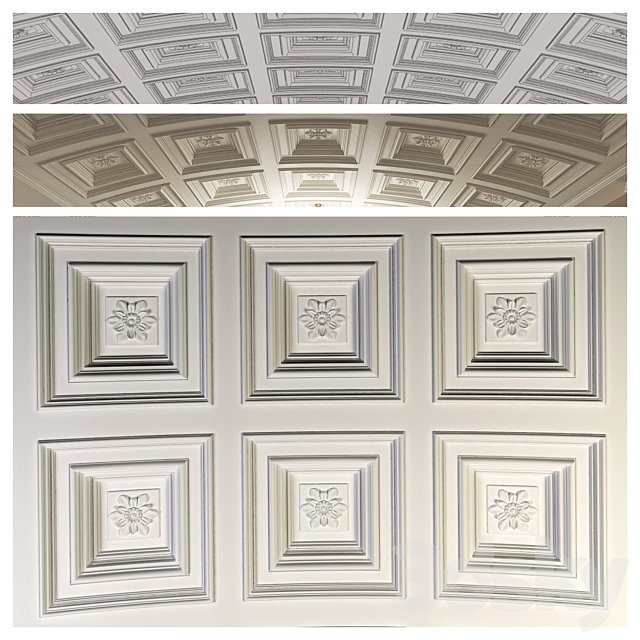 Arched ceiling coffered