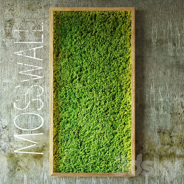 Moss wall