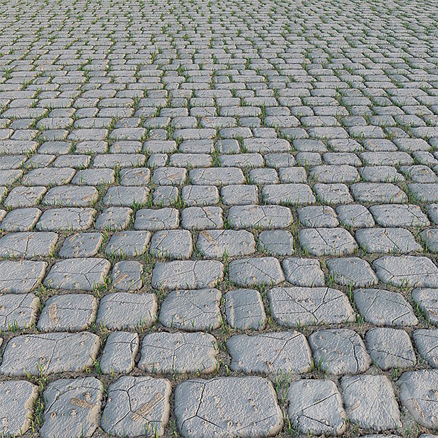Paving Stone and Grass