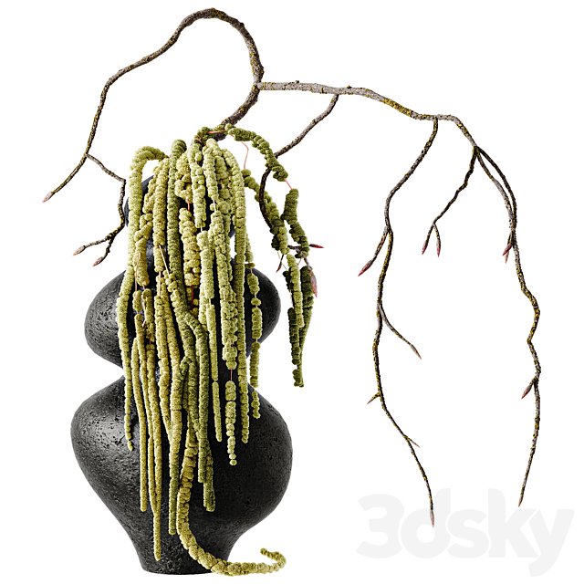 Amaranth bouquet with a branch